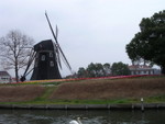 DSCN0542