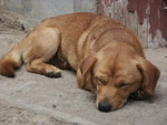 PICT0042