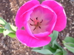 DSCN0699