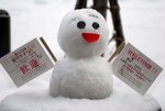 _DSC04970156