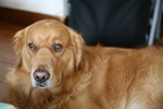 IMG_0841