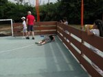IMG_0131