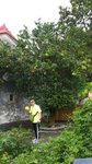 IMG-20140921-WA0021