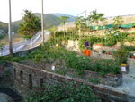 P1020104