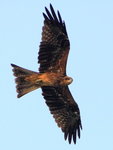 IMG_2137