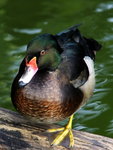 IMG_2541