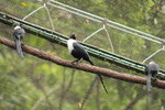 IMG_3342_01