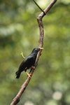 IMG_3345_01