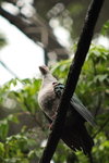 IMG_3351_01