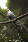 IMG_3353_01