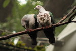IMG_3359_01