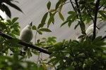 IMG_3363_01