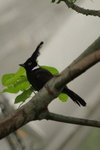 IMG_3367_01