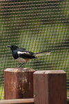 IMG_3376_01