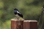 IMG_3379_01