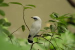 IMG_3387_01