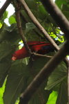 IMG_3392_01