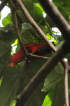 IMG_3393_01