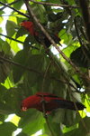 IMG_3397_01