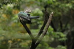IMG_3398_01