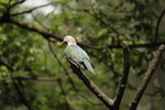 IMG_3410_01