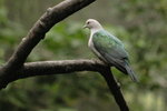 IMG_3411_01