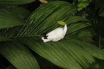 IMG_3414_01