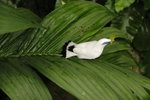 IMG_3416_01