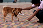 IMG_3799_01