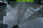 IMG_3106-01