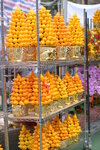 08022021_Victoria Park_Lunar New Year Flower Fair_Solanum mammosum00001