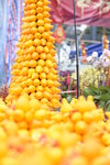 08022021_Victoria Park_Lunar New Year Flower Fair_Solanum mammosum00002