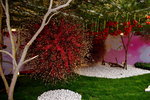 07032014_Hong Kong Flower Show_The Venue and the Exhibitions00039
