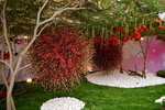 07032014_Hong Kong Flower Show_The Venue and the Exhibitions00040