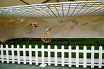 07032014_Hong Kong Flower Show_The Venue and the Exhibitions00052