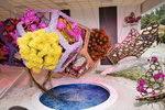 07032014_Hong Kong Flower Show_The Venue and the Exhibitions00056