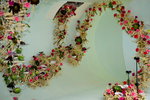 07032014_Hong Kong Flower Show_The Venue and the Exhibitions00059