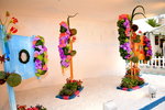 07032014_Hong Kong Flower Show_The Venue and the Exhibitions00060