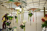 07032014_Hong Kong Flower Show_The Venue and the Exhibitions00063