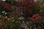 07032014_Hong Kong Flower Show_The Venue and the Exhibitions00076