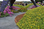 07032014_Hong Kong Flower Show_The Venue and the Exhibitions00102