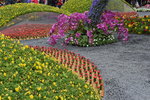 07032014_Hong Kong Flower Show_The Venue and the Exhibitions00103