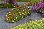 07032014_Hong Kong Flower Show_The Venue and the Exhibitions00104
