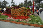07032014_Hong Kong Flower Show_The Venue and the Exhibitions00106