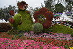 07032014_Hong Kong Flower Show_The Venue and the Exhibitions00109