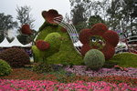 07032014_Hong Kong Flower Show_The Venue and the Exhibitions00110