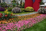 07032014_Hong Kong Flower Show_The Venue and the Exhibitions00111
