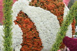 07032014_Hong Kong Flower Show_The Venue and the Exhibitions00117