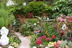 07032014_Hong Kong Flower Show_The Venue and the Exhibitions00121