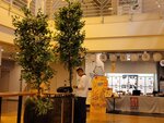 08102025_Samsung Galaxy Note Ultra 20_31 round to Hokkaido_Dinner at South Chitose J Place_Zareru Japanese Restaurant00005